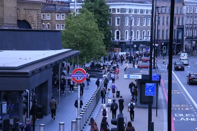 DSC_1594 (Large).JPG